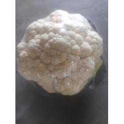 Cauliflower, 1 Head
